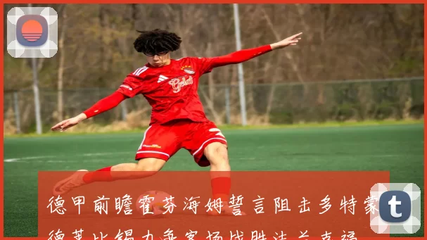 德甲前瞻霍芬海姆誓言阻击多特蒙德莱比锡力争客场战胜法兰克福
